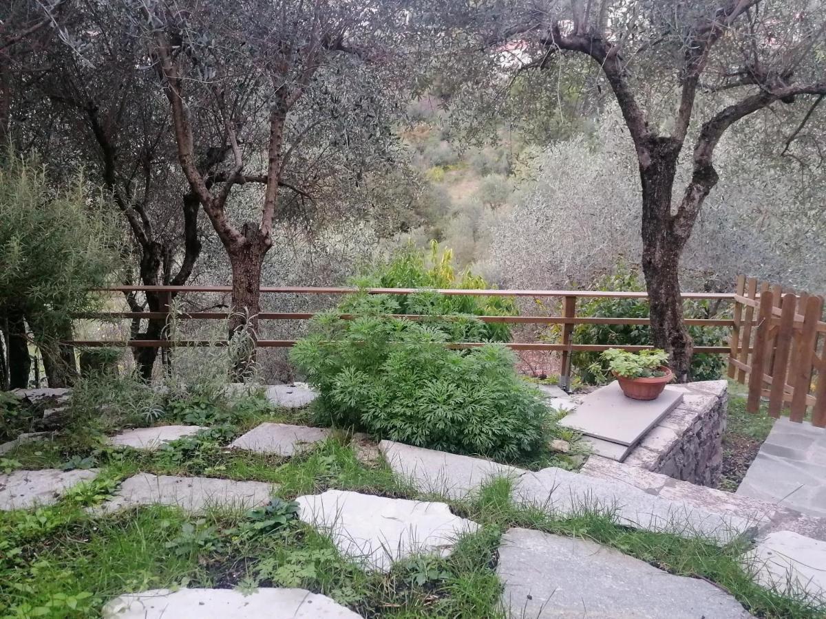 Nonna Paola Guest House Leivi Extérieur photo